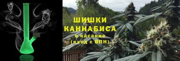 ГАЛЛЮЦИНОГЕННЫЕ ГРИБЫ Арсеньев