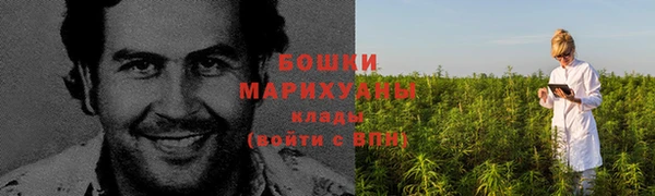 ГАЛЛЮЦИНОГЕННЫЕ ГРИБЫ Арсеньев