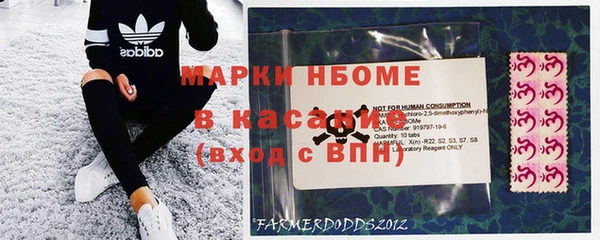 ГАЛЛЮЦИНОГЕННЫЕ ГРИБЫ Арсеньев